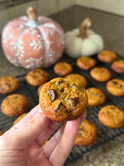 chocolate chip pumpkin muffin protein cookies