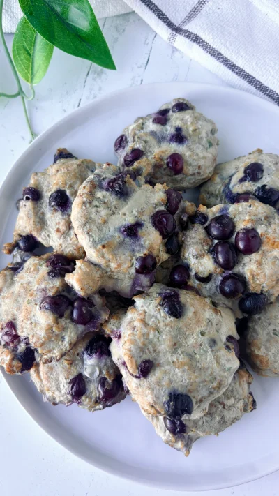 Whole 30 Blueberry Breakfast Sausage Patties