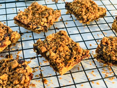 Chocolate Oat Crumb Bars (Vegan)