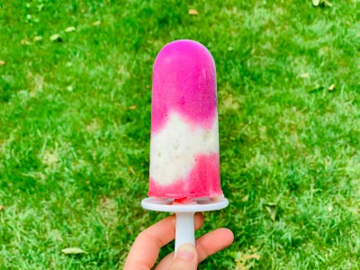 Pitaya Chia Pudding Popsicles